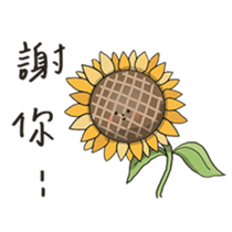 510204059