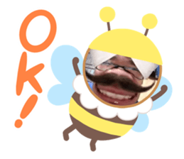 510223653