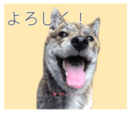 510235013