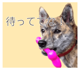 510235024