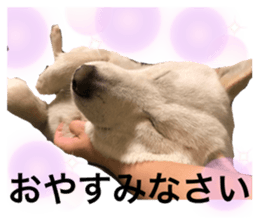 510235844