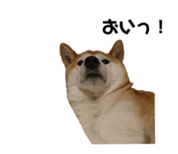 510242546