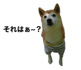 510242556