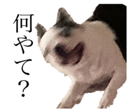 510269818