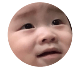 510274394