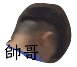 510279556