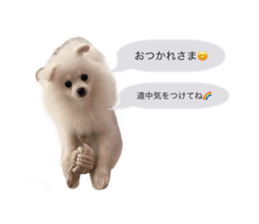 510286216