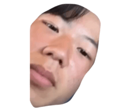 510286661
