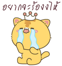 510342518