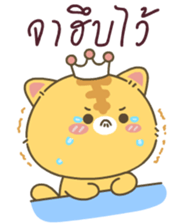 510342519