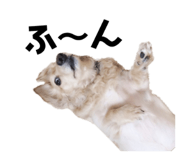 510355257