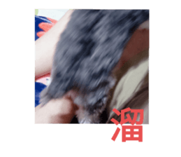 510357799