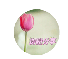 510369167