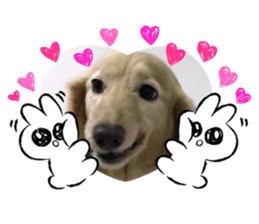 510379433