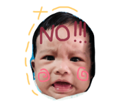 51044323