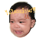 51044329