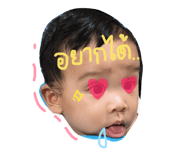 51044330