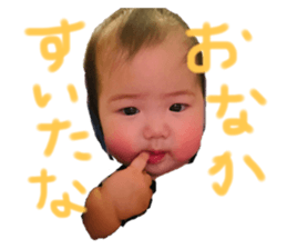 510495451