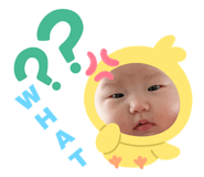 510530949