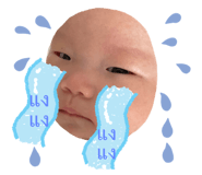 510530955