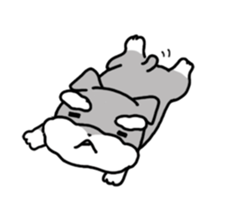 5105934
