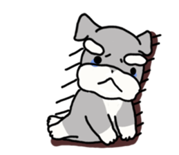 5105955