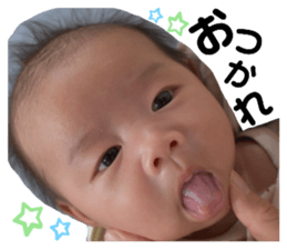 510623840
