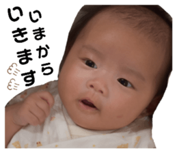 510623849