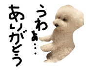 510647665