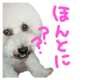 510647672