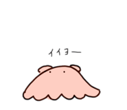 510648119