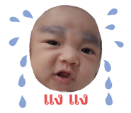 510658257