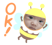 510658258