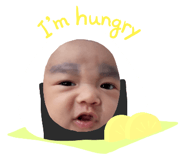 510658277