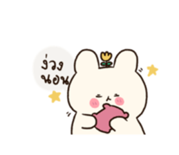 510666030