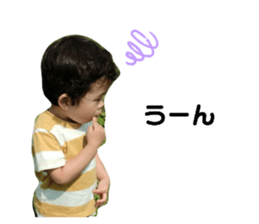510695248