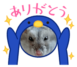 510697075