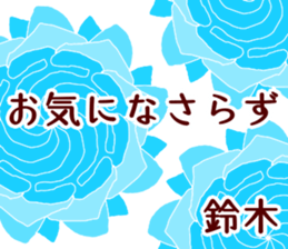 51082631