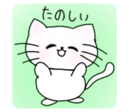 510841428