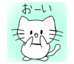 510841443