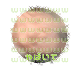 510843502