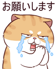 510861010