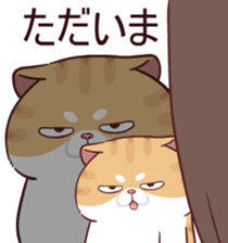 510861017