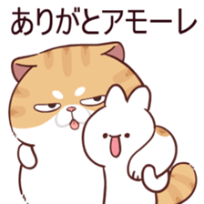 510861036