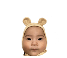 510865454