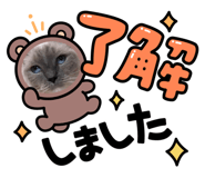 510874395