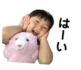 510884530