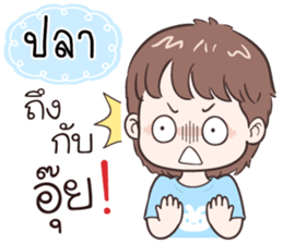 510888701