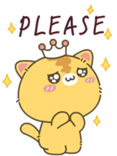 510891790