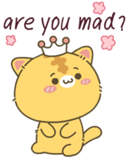 510891791